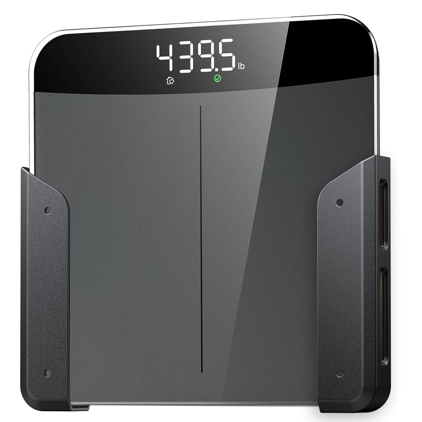 Wall-Mounted Scale Holder