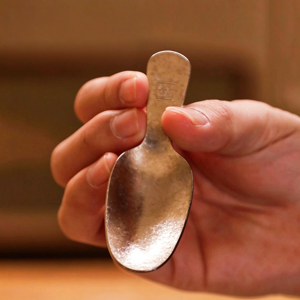 Pure Titanium Antibacterial Tea Spoon