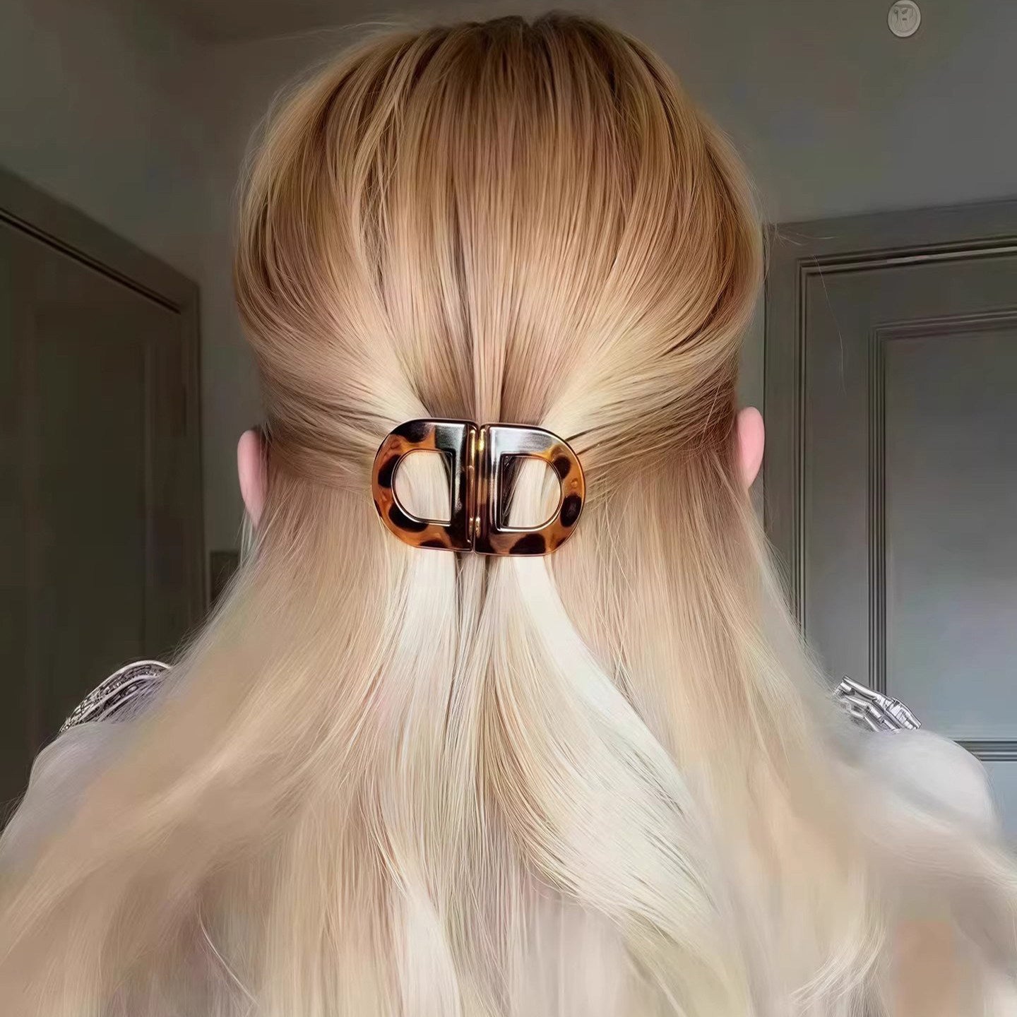 Magnetic Detachable Hair Clip