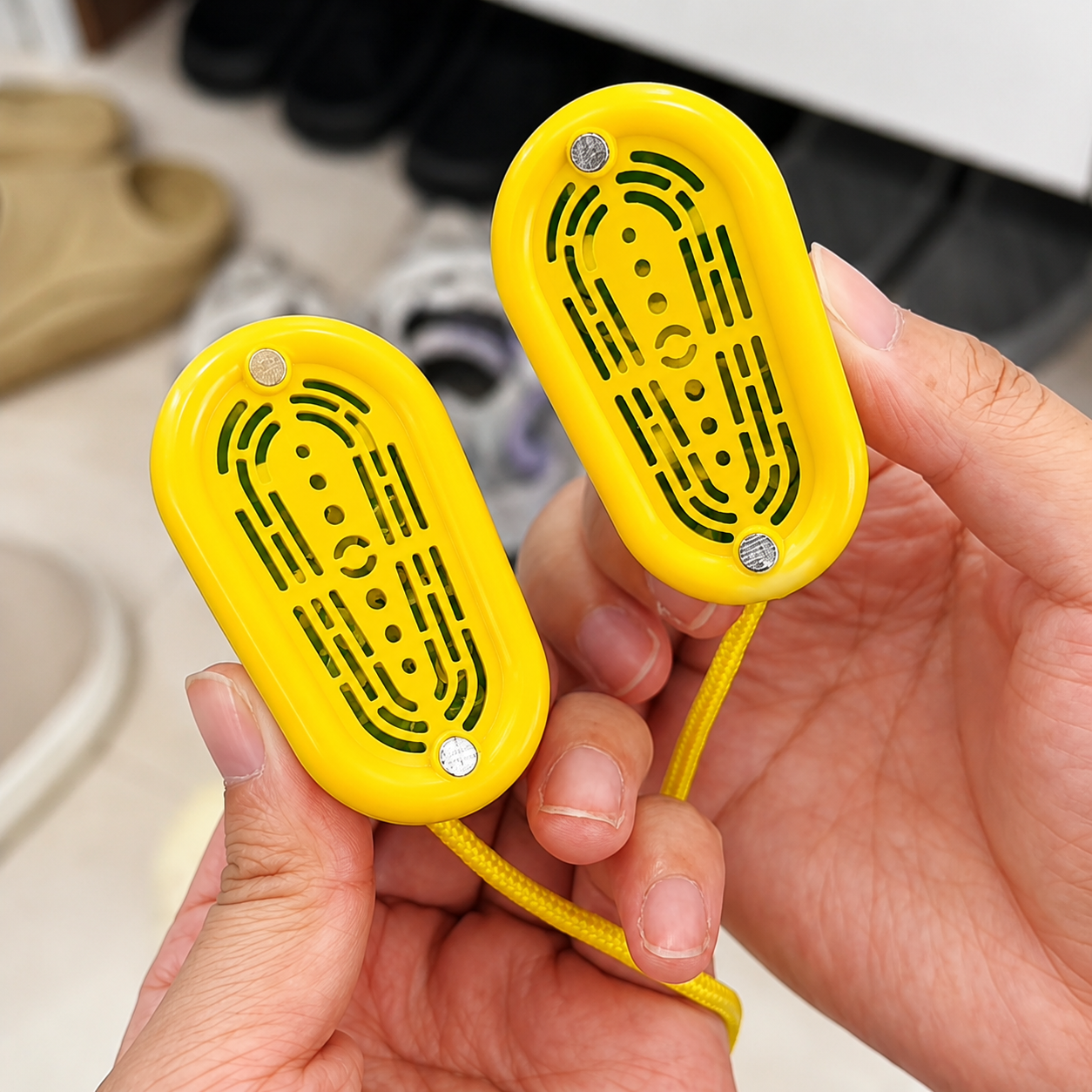 FreshStep Shoe Deodorizer