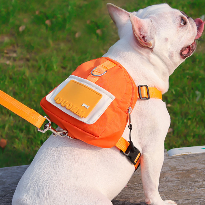 All-in-One Dog Walking Backpack Leash with Storage & Hidden Poop Bag Dispenser