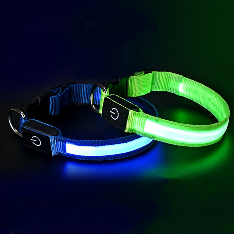 High-Visibility Waterproof LED Glow Collar