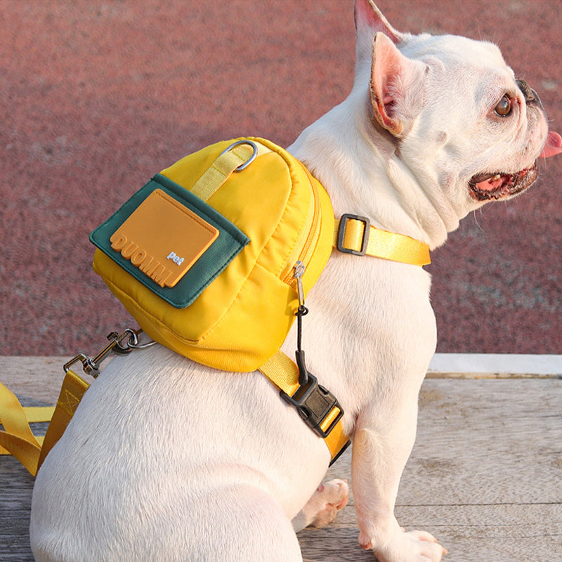 All-in-One Dog Walking Backpack Leash with Storage & Hidden Poop Bag Dispenser