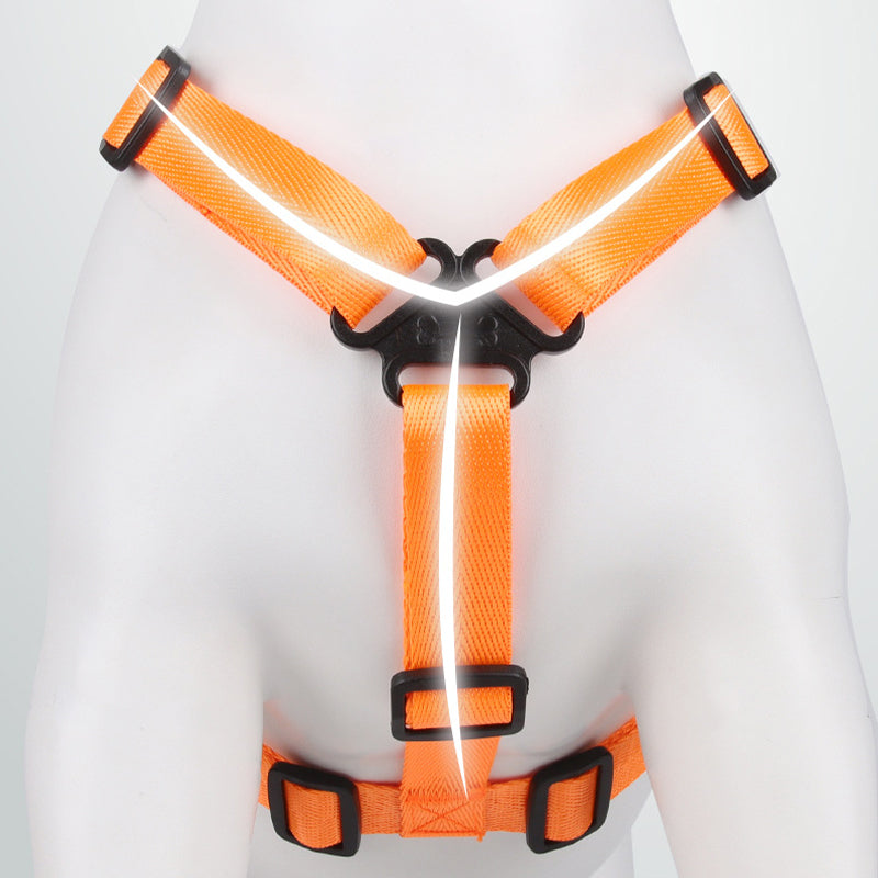 All-in-One Dog Walking Backpack Leash with Storage & Hidden Poop Bag Dispenser