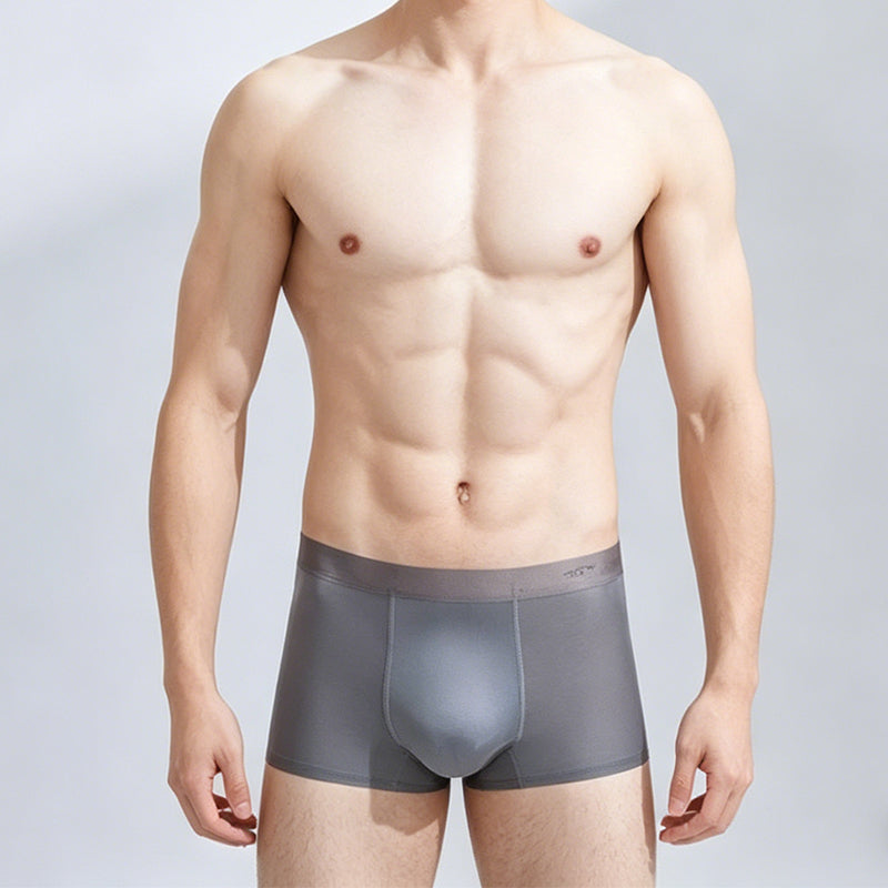 Men’s Breathable Stretch Ice Silk Boxer Briefs