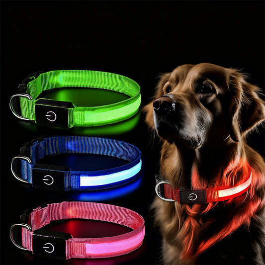 High-Visibility Waterproof LED Glow Collar