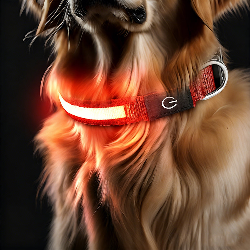 High-Visibility Waterproof LED Glow Collar