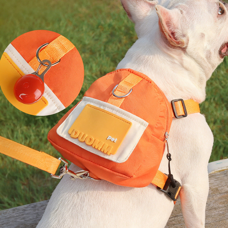 All-in-One Dog Walking Backpack Leash with Storage & Hidden Poop Bag Dispenser