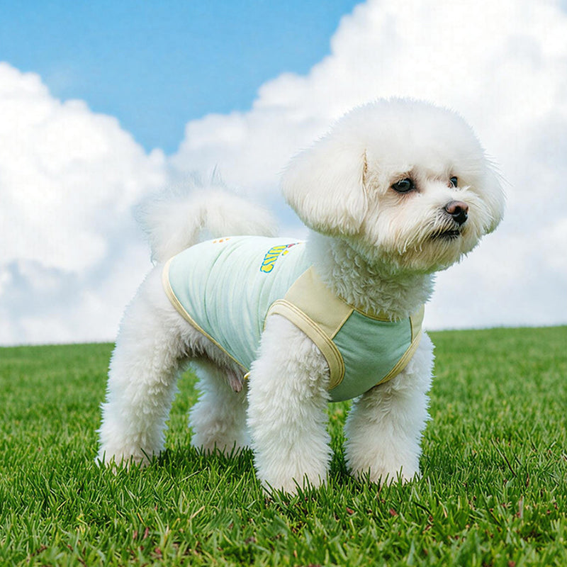Cooling & UV Protection Pet Shirt with Heat-Responsive Indicator