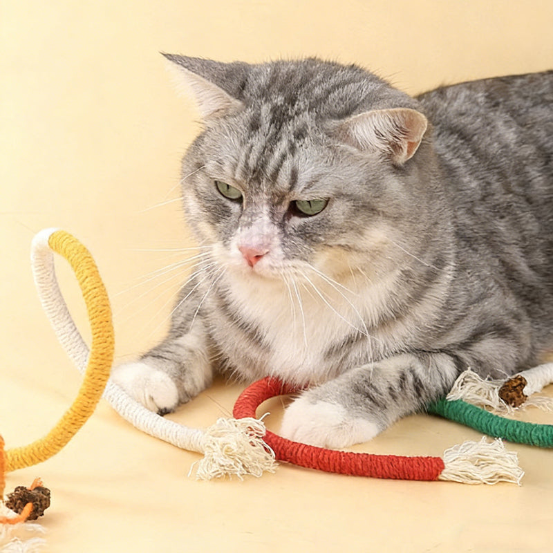 Cat Chew Rope Toy with Gallnut