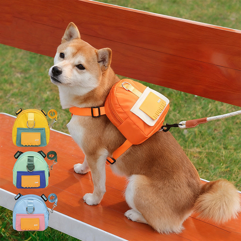 All-in-One Dog Walking Backpack Leash with Storage & Hidden Poop Bag Dispenser