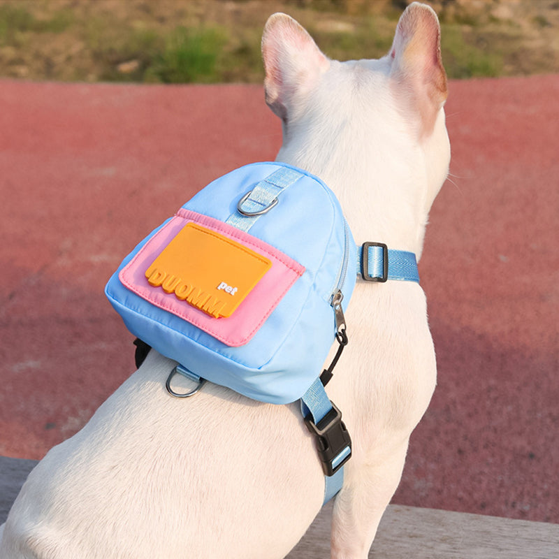 All-in-One Dog Walking Backpack Leash with Storage & Hidden Poop Bag Dispenser