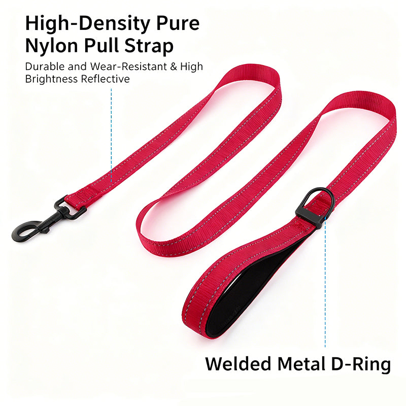 High-Visibility Waterproof LED Glow Collar