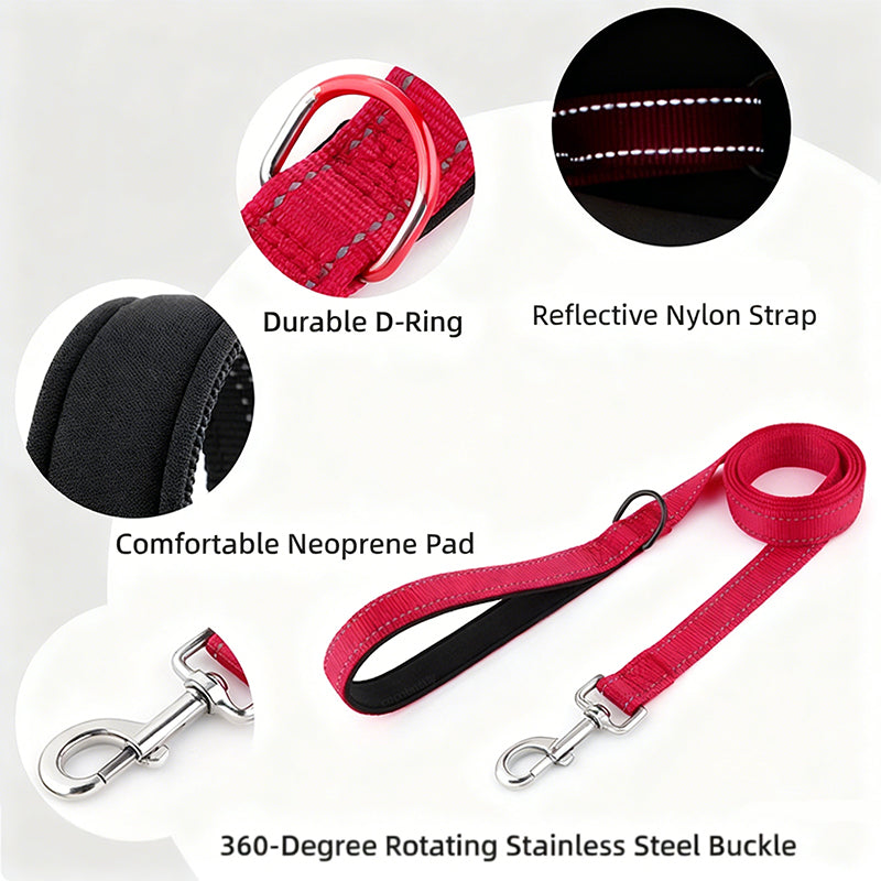 High-Visibility Waterproof LED Glow Collar