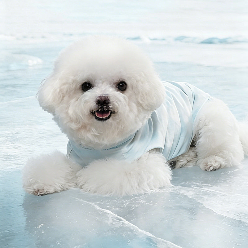 Cooling & UV Protection Pet Shirt with Heat-Responsive Indicator