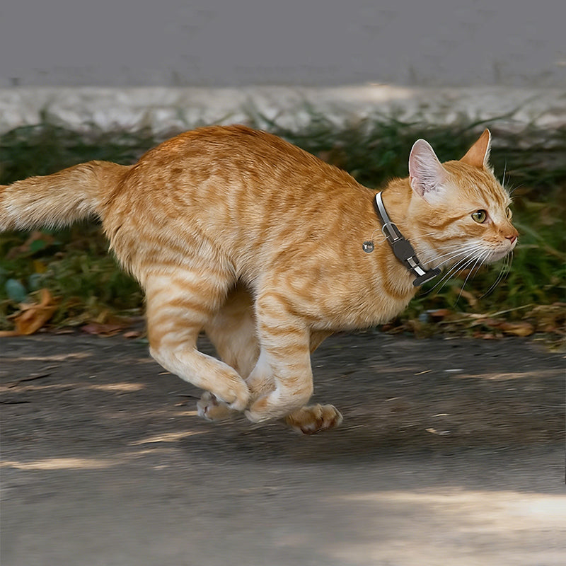Reflective Waterproof Pet Tracking Collar for AirTag
