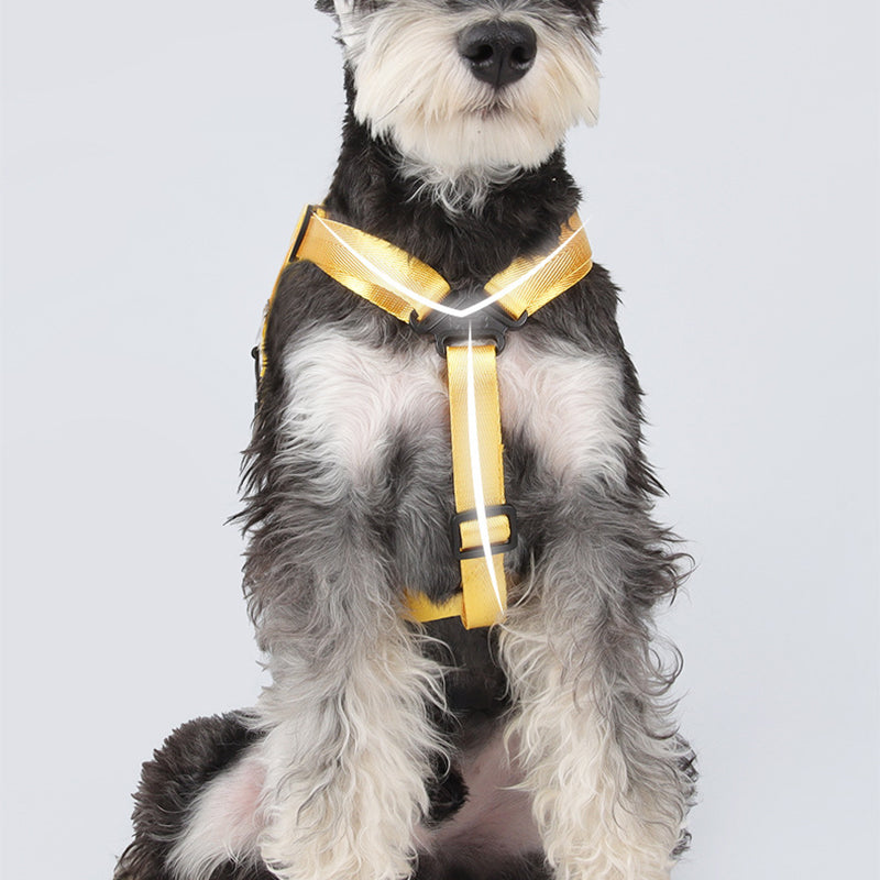 All-in-One Dog Walking Backpack Leash with Storage & Hidden Poop Bag Dispenser