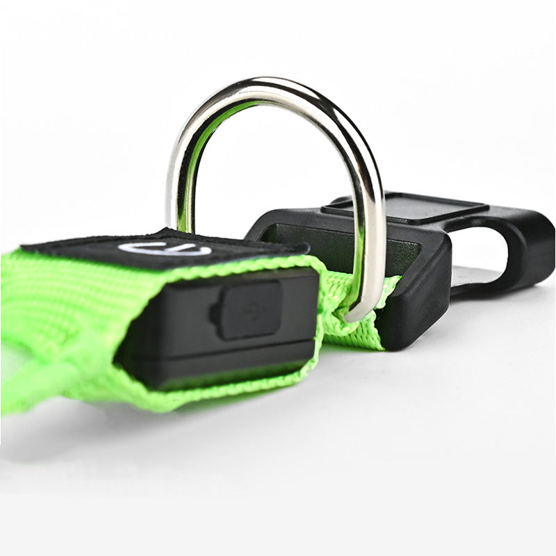 High-Visibility Waterproof LED Glow Collar