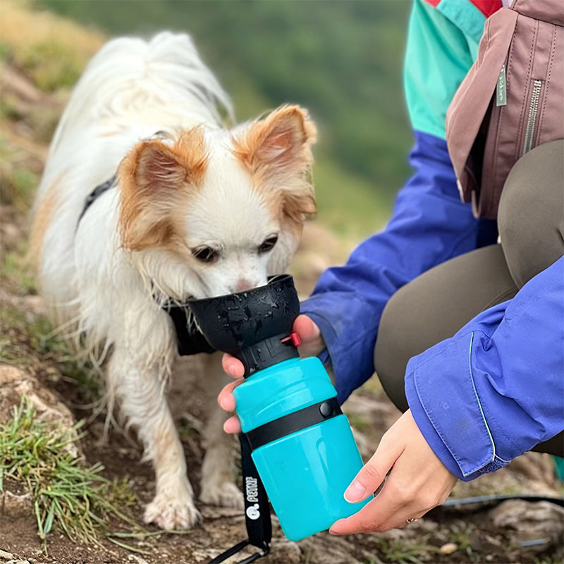 Portable Leakproof Squeeze Pet Water Bottle with Foldable Bowl