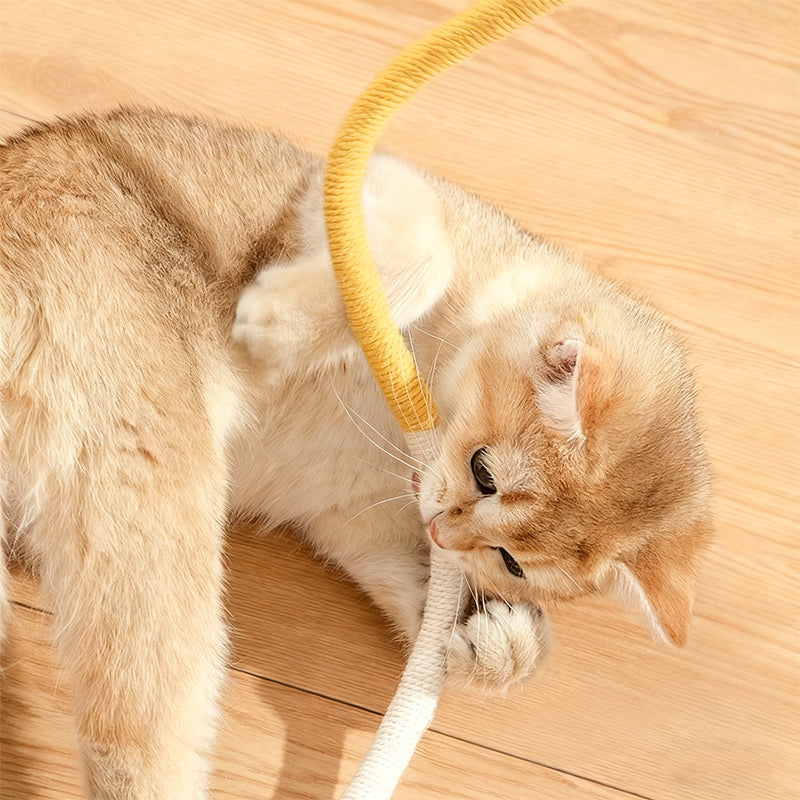 Cat Chew Rope Toy with Gallnut