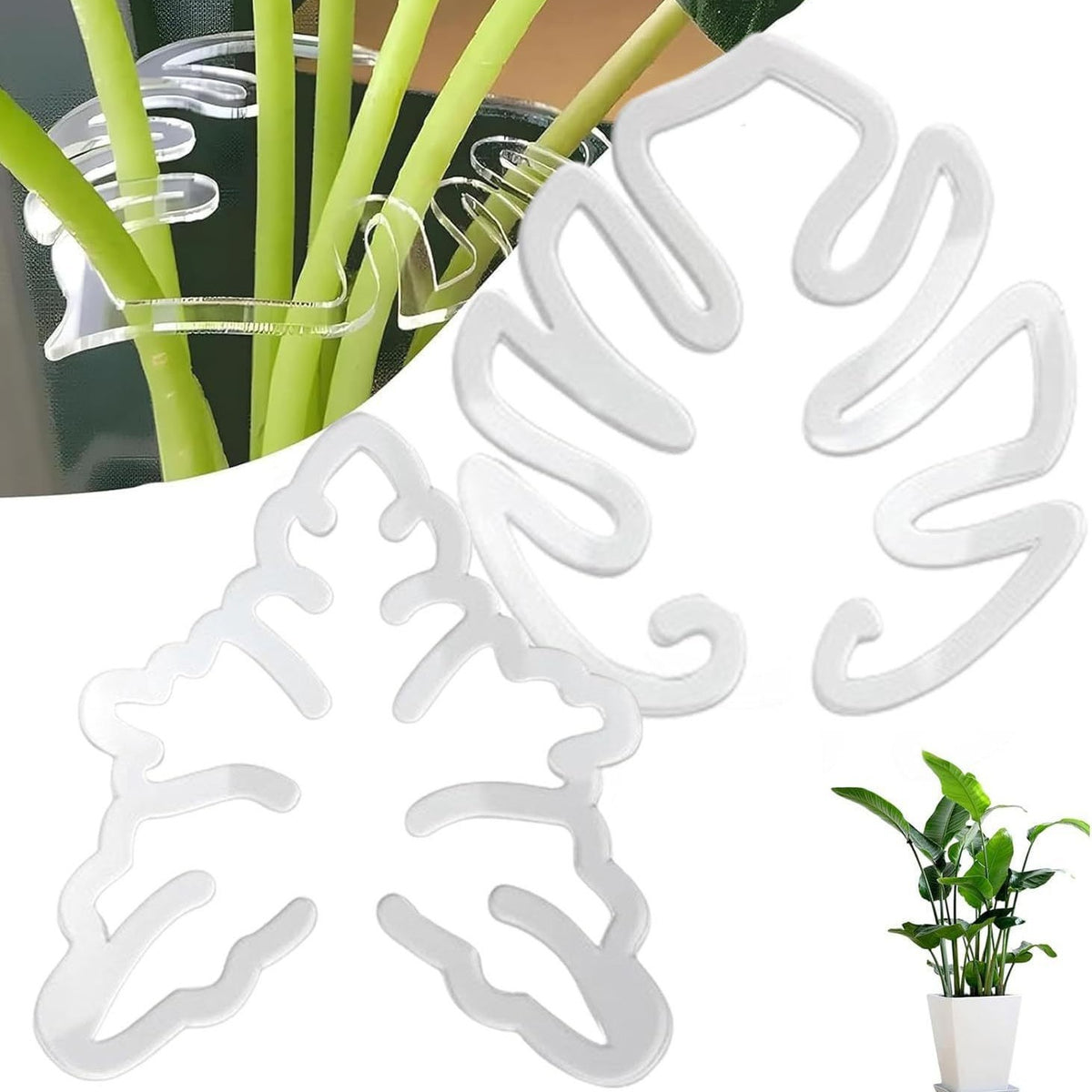 Acrylic Plant Support