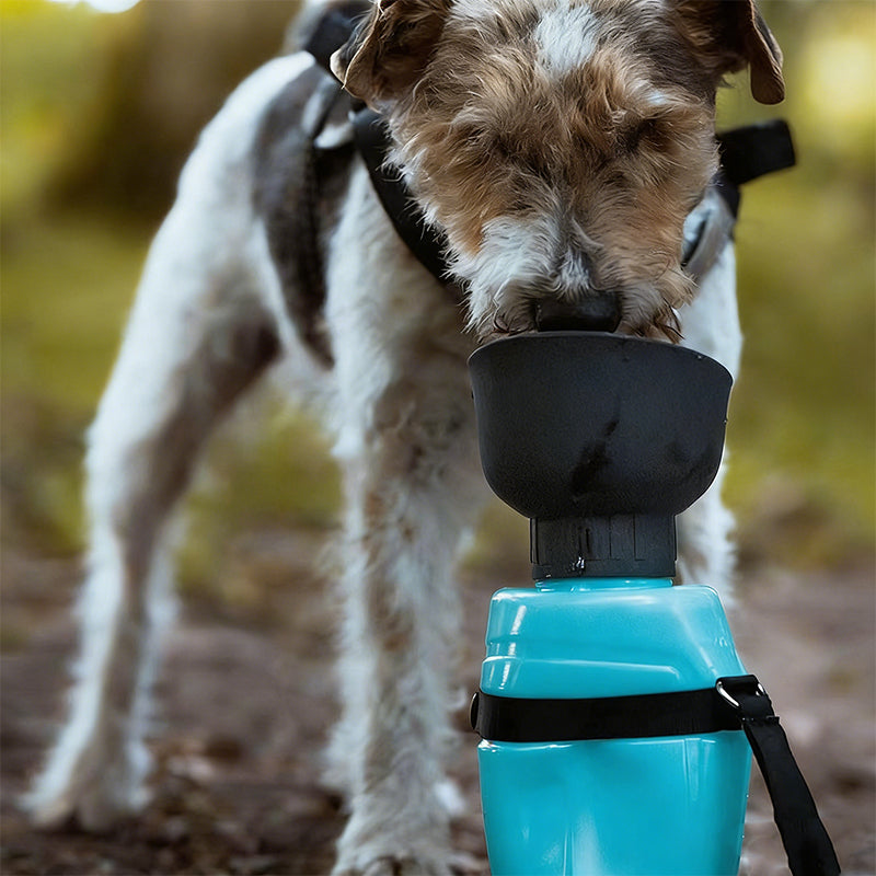 Portable Leakproof Squeeze Pet Water Bottle with Foldable Bowl