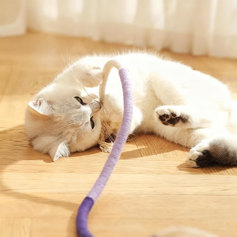 Cat Chew Rope Toy with Gallnut