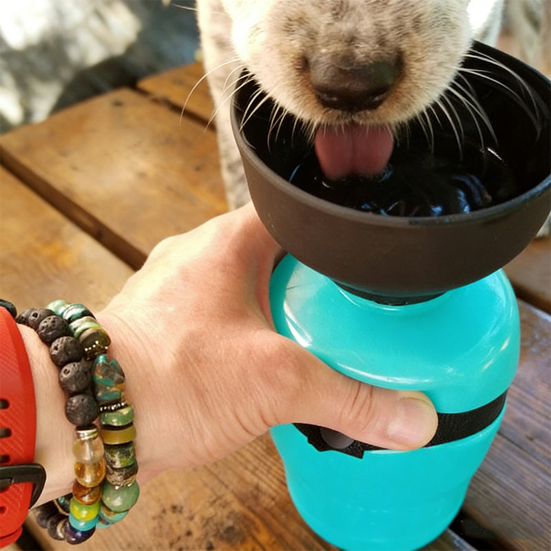 Portable Leakproof Squeeze Pet Water Bottle with Foldable Bowl