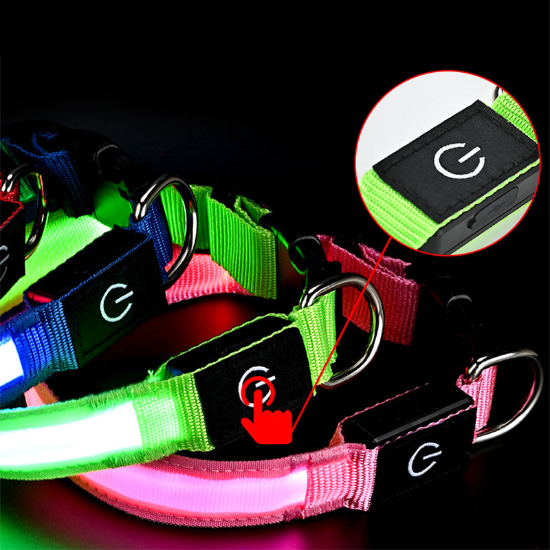High-Visibility Waterproof LED Glow Collar