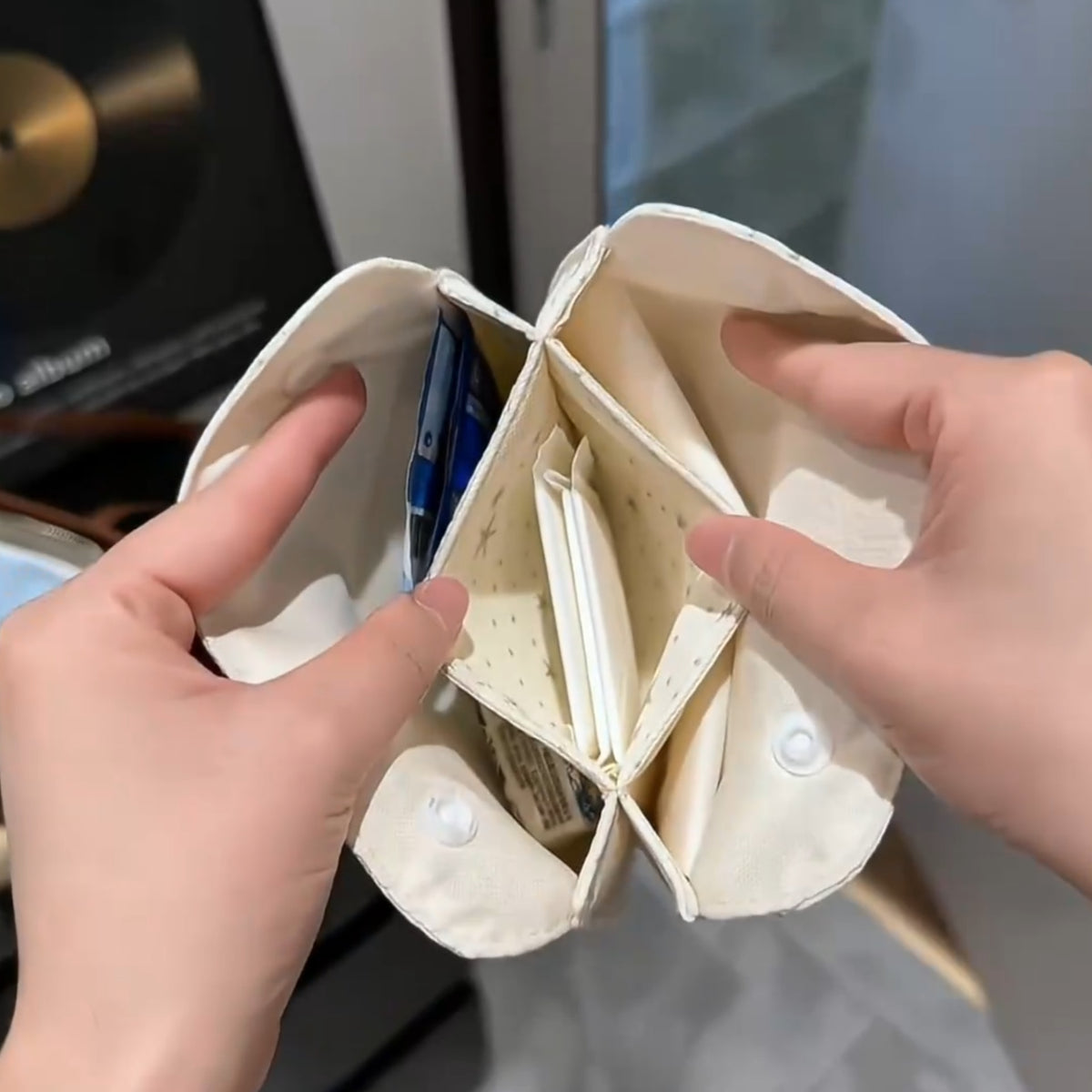 Premium Portable Storage Pouch