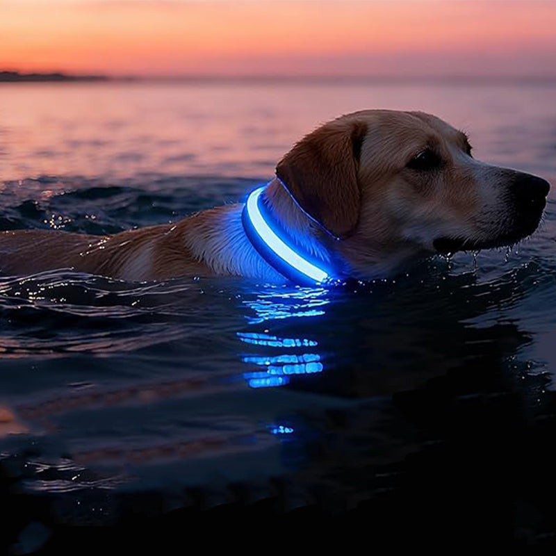 High-Visibility Waterproof LED Glow Collar