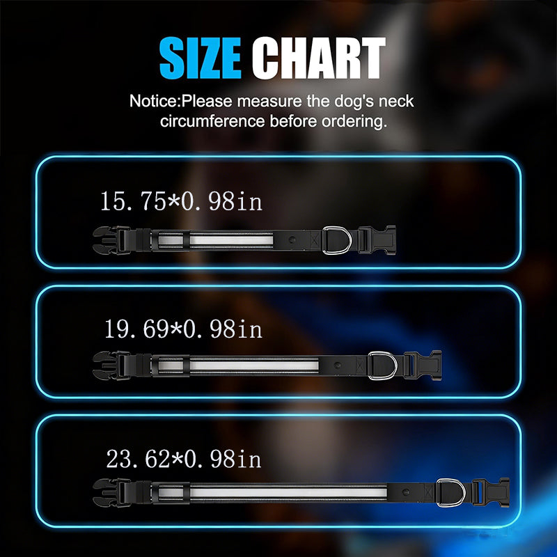 High-Visibility Waterproof LED Glow Collar