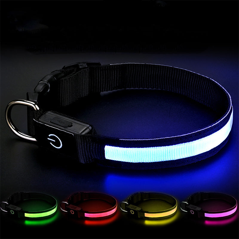 High-Visibility Waterproof LED Glow Collar