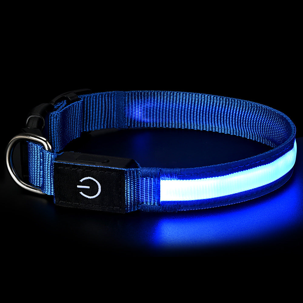 High-Visibility Waterproof LED Glow Collar