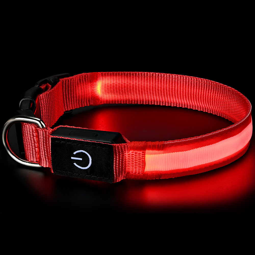 High-Visibility Waterproof LED Glow Collar